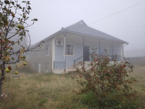 Foggy House